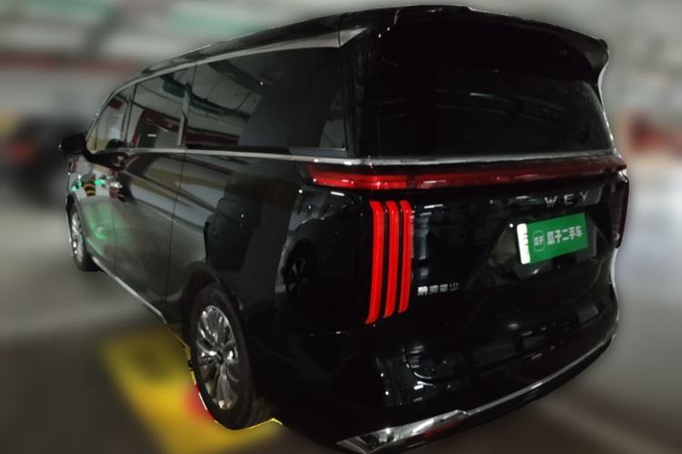 Used Wey Gaoshan 2023 Four-Wheel-Drive Executive Extended Version Rear Left 45 Deg