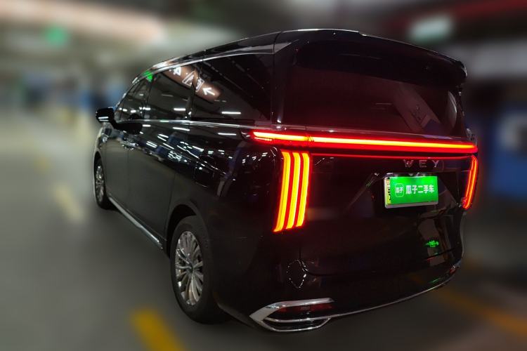 Used Wey Gaoshan 2023 Four-Wheel Drive Flagship Edition Rear Left 45 Deg