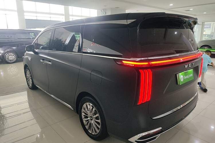 Used Wey Gaoshan 2023 Four-Wheel Drive Flagship Edition Rear Left 45 Deg