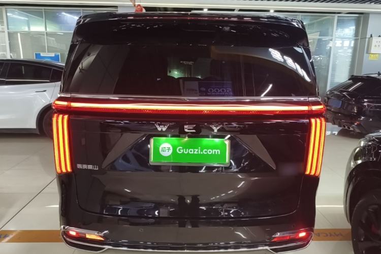 Used Wey Gaoshan 2023 Four-Wheel Drive Flagship Edition Rear