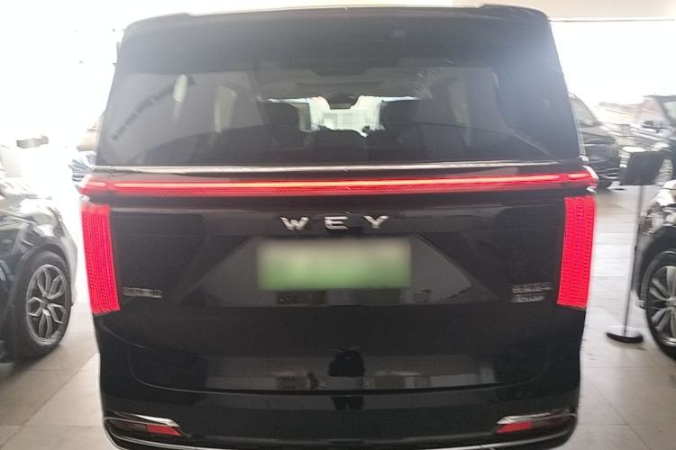 Used Wey Gaoshan 2023 Four-Wheel Drive Flagship Edition Rear