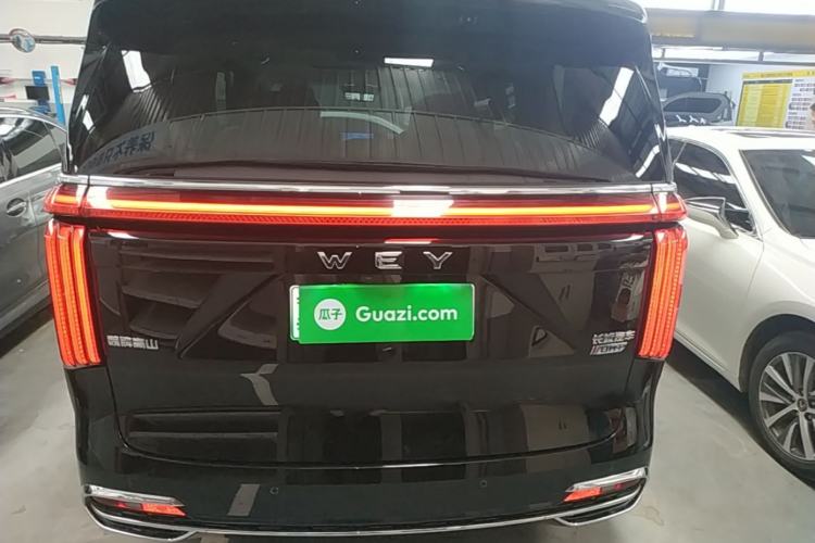 Used Wey Gaoshan 2023 Four-Wheel Drive Flagship Edition Rear