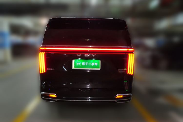 Used Wey Gaoshan 2023 Four-Wheel Drive Flagship Edition Rear