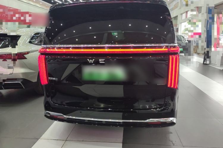 Used Wey Gaoshan 2023 Four-Wheel-Drive Executive Extended Version Rear