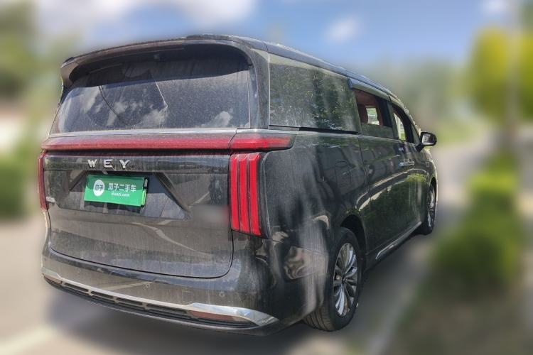 Used Wey Gaoshan 2023 Four-Wheel-Drive Executive Extended Version Rear Right 45 Deg