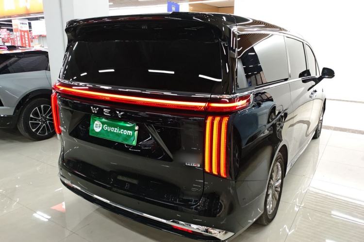 Used Wey Gaoshan 2023 Four-Wheel-Drive Executive Extended Version Rear Right 45 Deg