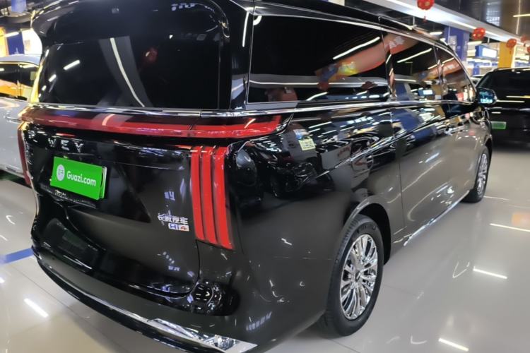 Used Wey Gaoshan 2023 Four-Wheel-Drive Executive Extended Version Rear Right 45 Deg