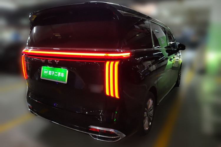 Used Wey Gaoshan 2023 Four-Wheel Drive Flagship Edition Rear Right 45 Deg