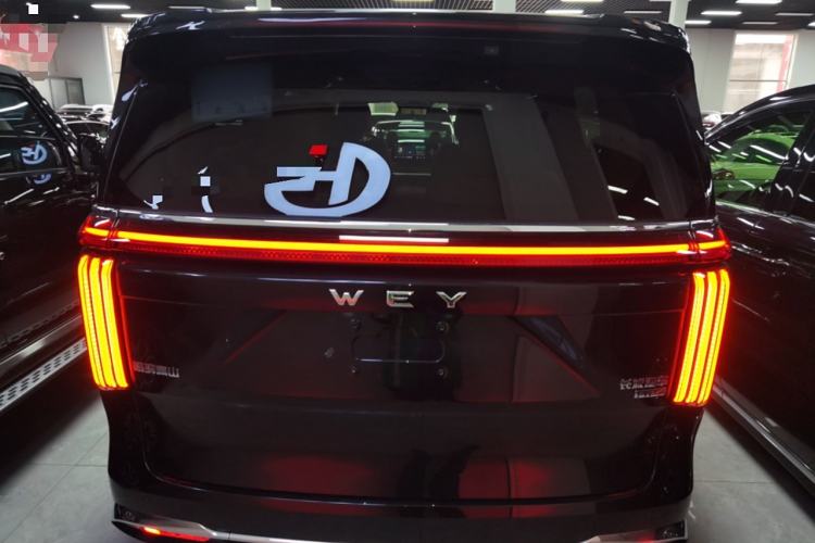 Used Wey Gaoshan 2023 Four-Wheel-Drive Executive Extended Version Rear