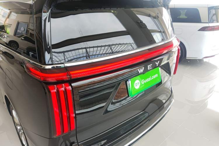 Used Wey Gaoshan 2023 Four-Wheel-Drive Executive Extended Version Rear