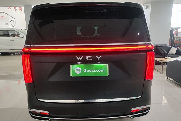 Used Wey Gaoshan 2023 Four-Wheel Drive Flagship Edition Rear