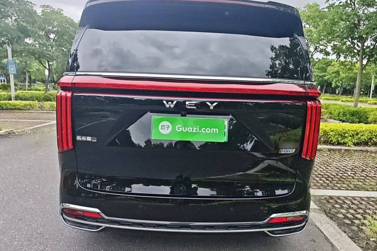 Used Wey Gaoshan 2023 Four-Wheel Drive Flagship Edition Rear