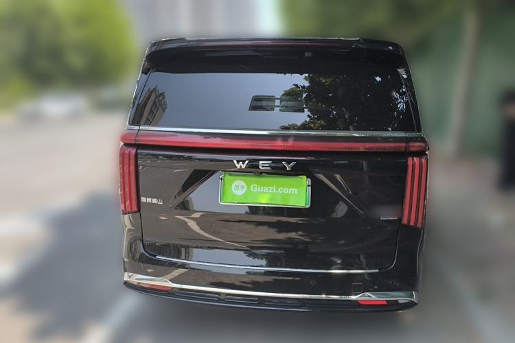 Used Wey Gaoshan 2023 Four-Wheel-Drive Executive Extended Version Rear