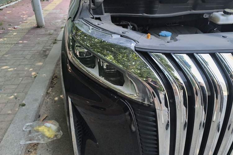 Used Wey Gaoshan 2023 Four-Wheel-Drive Executive Extended Version Right Front Headlight