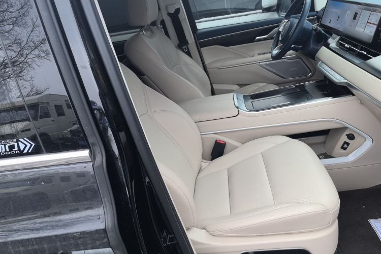 Used Wey Gaoshan 2023 Four-Wheel Drive Flagship Edition Right Front Seat