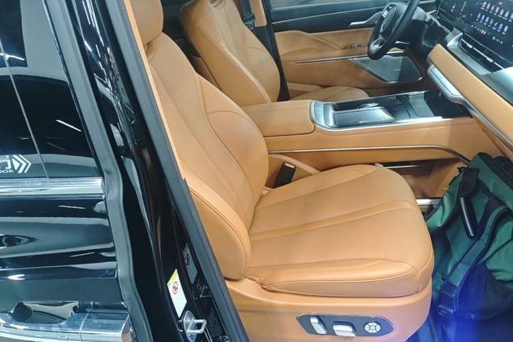 Used Wey Gaoshan 2023 Four-Wheel-Drive Executive Extended Version Right Front Seat