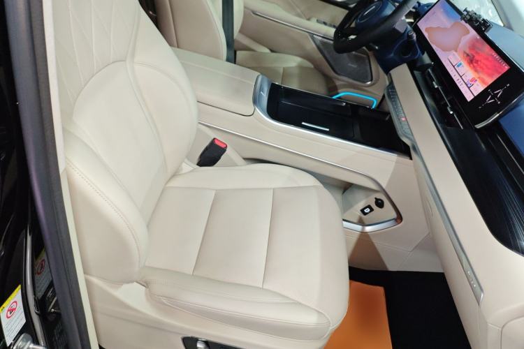 Used Wey Gaoshan 2023 Four-Wheel Drive Flagship Edition Right Front Seat