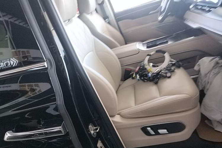 Used Wey Gaoshan 2023 Four-Wheel Drive Flagship Edition Right Front Seat