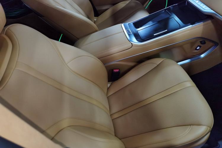 Used Wey Gaoshan 2023 Four-Wheel-Drive Executive Extended Version Right Front Seat