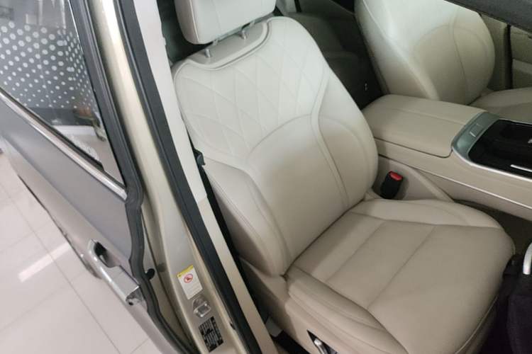 Used Wey Gaoshan 2023 Four-Wheel Drive Flagship Edition Right Front Seat
