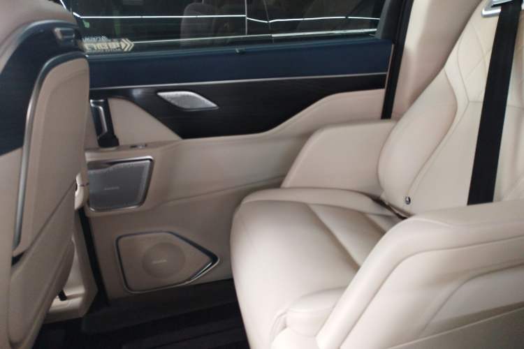 Used Wey Gaoshan 2023 Four-Wheel Drive Flagship Edition Right Rear Door Interior