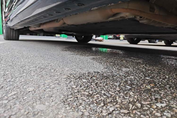 Used Wey Gaoshan 2023 Four-Wheel-Drive Executive Extended Version Right Side Sill