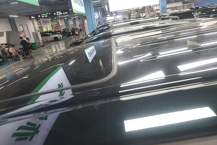 Used Wey Gaoshan 2023 Four-Wheel-Drive Executive Extended Version Roof