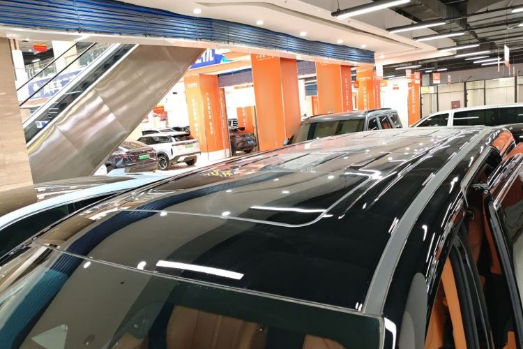 Used Wey Gaoshan 2023 Four-Wheel-Drive Executive Extended Version Roof