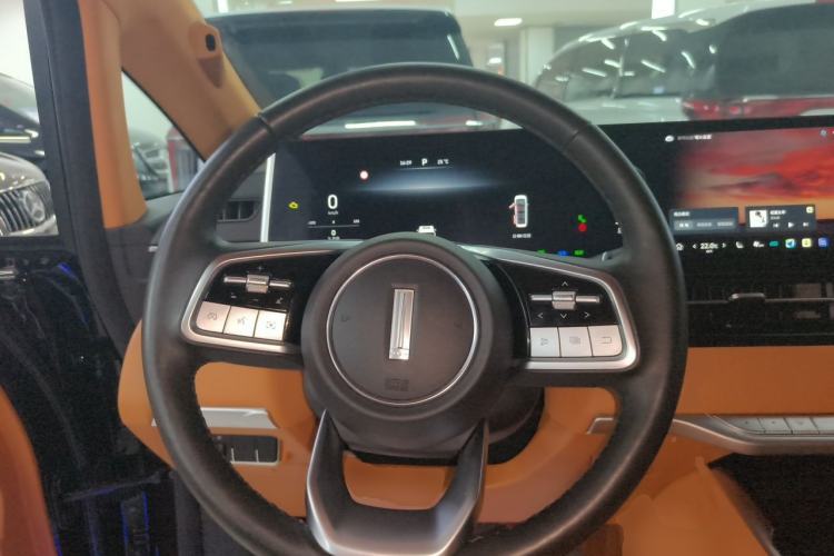Used Wey Gaoshan 2023 Four-Wheel-Drive Executive Extended Version Steering Wheel