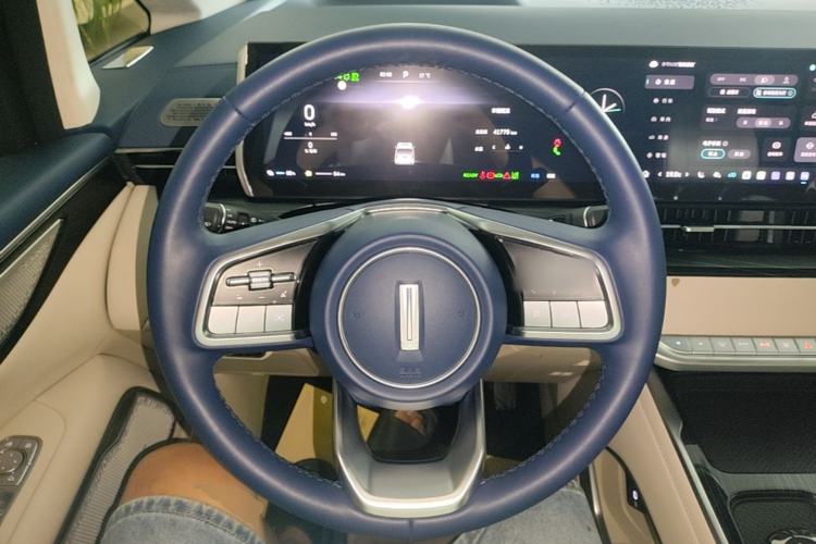 Used Wey Gaoshan 2023 Four-Wheel Drive Flagship Edition Steering Wheel