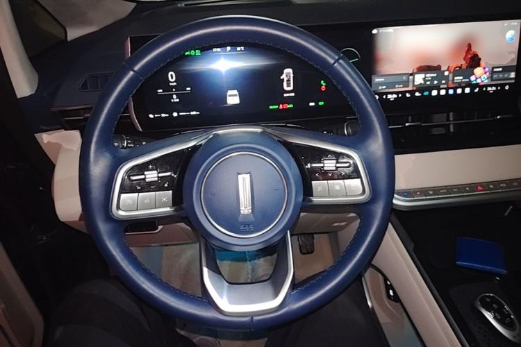 Used Wey Gaoshan 2023 Four-Wheel Drive Flagship Edition Steering Wheel