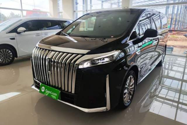 Ojetý Wey Gaoshan 2023 Four-Wheel-Drive Executive Extended Version