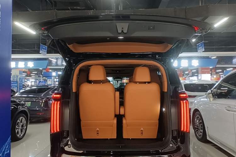 Used Wey Gaoshan 2023 Four-Wheel-Drive Executive Extended Version Trunk