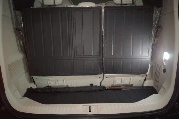 Used Wey Gaoshan 2023 Four-Wheel Drive Flagship Edition Trunk