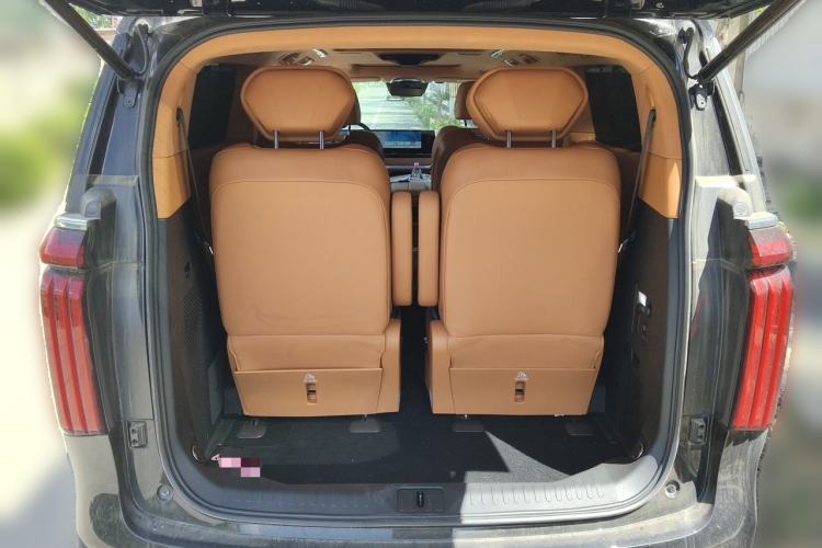Used Wey Gaoshan 2023 Four-Wheel-Drive Executive Extended Version Trunk