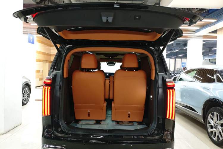 Used Wey Gaoshan 2023 Four-Wheel-Drive Executive Extended Version Trunk