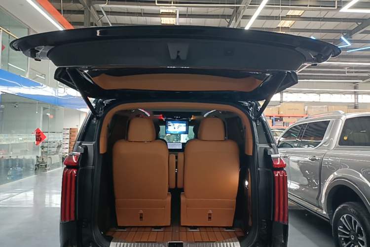 Used Wey Gaoshan 2023 Four-Wheel-Drive Executive Extended Version Trunk