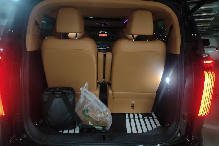 Used Wey Gaoshan 2023 Four-Wheel-Drive Executive Extended Version Trunk