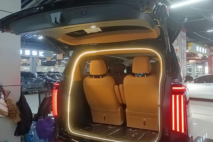Used Wey Gaoshan 2023 Four-Wheel-Drive Executive Extended Version Trunk