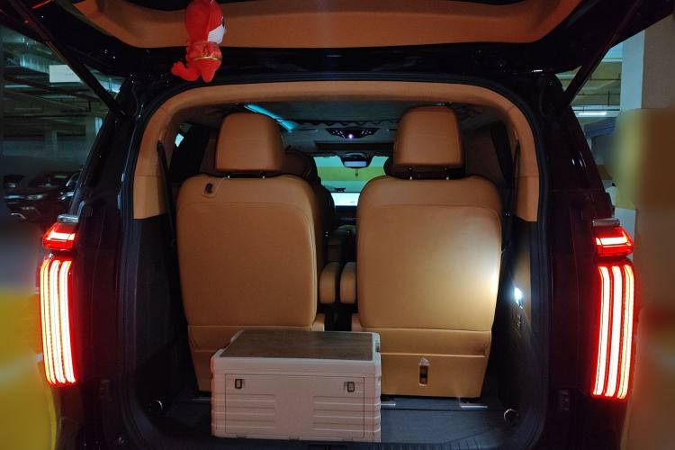 Used Wey Gaoshan 2023 Four-Wheel-Drive Executive Extended Version Trunk