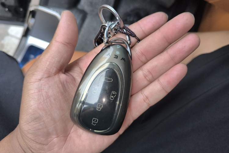 Used Wey Gaoshan 2023 Four-Wheel-Drive Executive Extended Version Vehicle Key