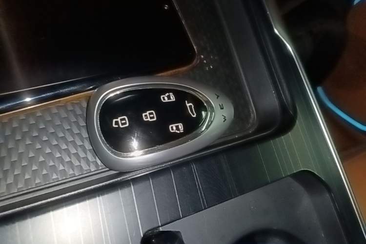 Used Wey Gaoshan 2023 Four-Wheel-Drive Executive Extended Version Vehicle Key