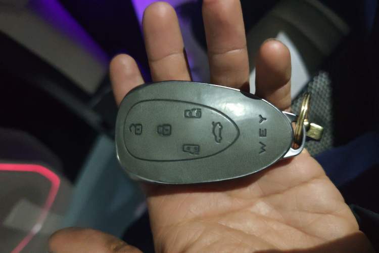 Used Wey Gaoshan 2023 Four-Wheel-Drive Executive Extended Version Vehicle Key