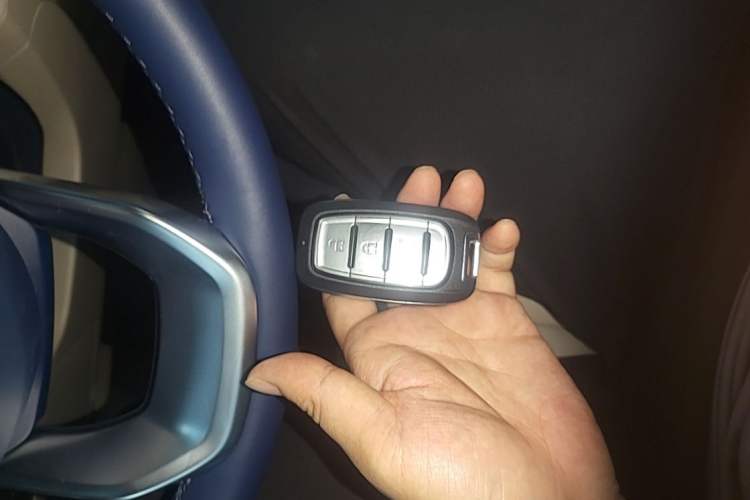 Used Wey Gaoshan 2023 Four-Wheel-Drive Executive Extended Version Vehicle Key