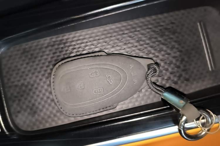 Used Wey Gaoshan 2023 Four-Wheel-Drive Executive Extended Version Vehicle Key