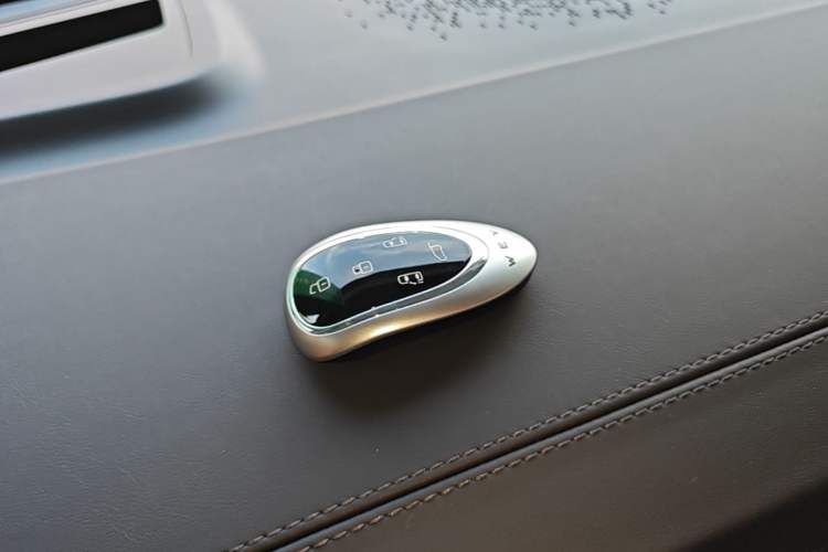 Used Wey Gaoshan 2023 Four-Wheel-Drive Executive Extended Version Vehicle Key