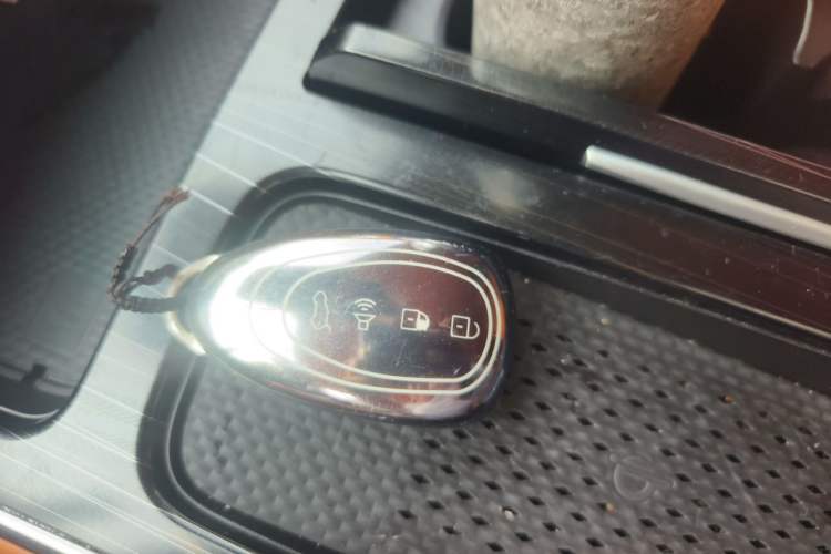 Used Wey Gaoshan 2023 Four-Wheel-Drive Executive Extended Version Vehicle Key