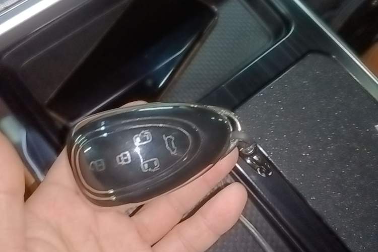 Used Wey Gaoshan 2023 Four-Wheel-Drive Executive Extended Version Vehicle Key