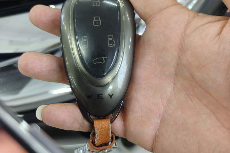 Used Wey Gaoshan 2023 Four-Wheel-Drive Executive Extended Version Vehicle Key