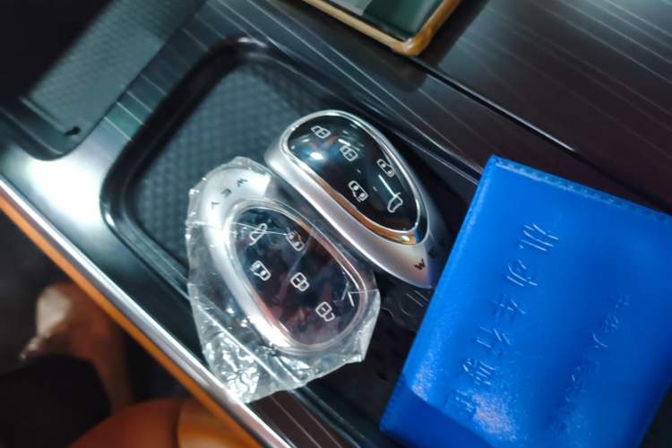 Used Wey Gaoshan 2023 Four-Wheel-Drive Executive Extended Version Vehicle Key